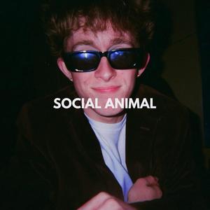 Social Animal (Explicit)