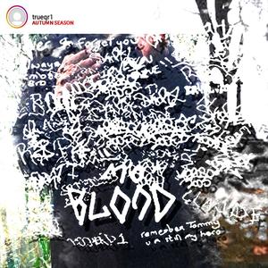 USE OF DEADLY FORCE (Explicit)