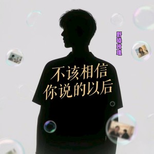 不该相信你说的以后DJ