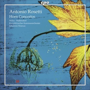 Concerto for 2 Horns in E-Flat Major, C55Q - III: Andante