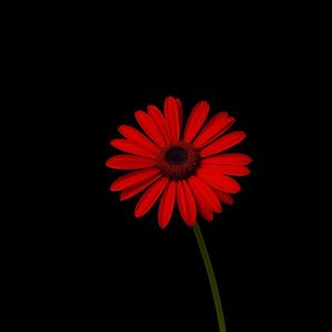 The Creator - she loves me (Explicit)