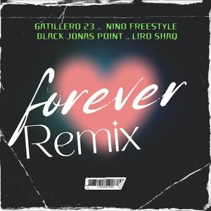 Forever (Remix|Explicit)