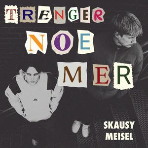 TRENGER NOE MER (feat. Meisel)