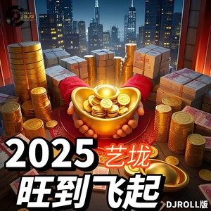 2025旺到飞起（DJROLL版）