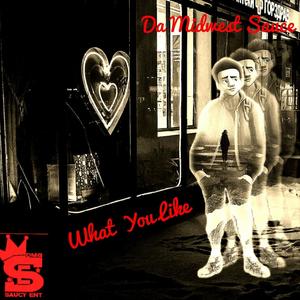 What You Like (Explicit)