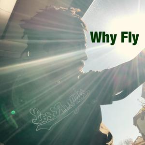 Yall Know Why (Its 2FLY) (Explicit)