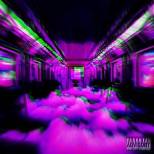 VIBE N RIDE A HOE (feat. Crook) (Explicit)