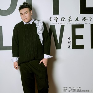 等你来东港 (伴奏)