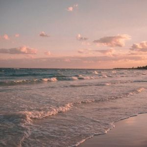 Entre El Sol Y El Mar