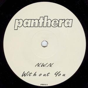 Without You (Original Mix)