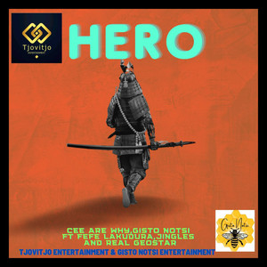 Hero (Barcadi Mix)