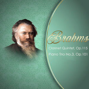 Piano Trio No.3, Op.101 - I. Allegro energico