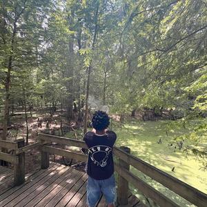 James harden (Explicit)