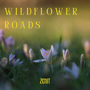 Wildflower Roads