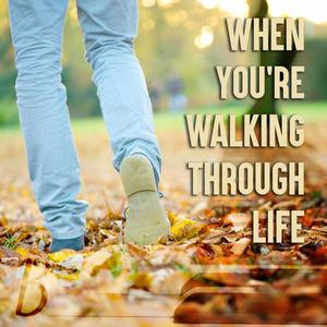 Walking Through Life (Radio Edit)