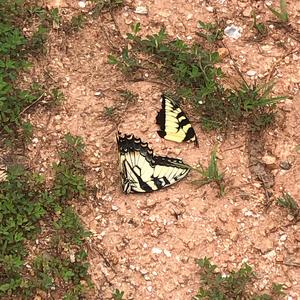 Hocus Pocus(feat. 5ach!†, MALNEEZY & Concrete Castles)