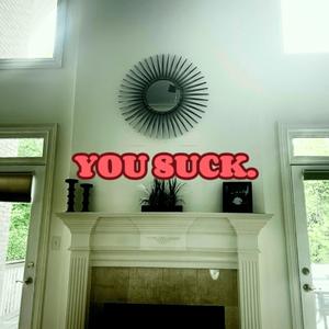 YOU SUCK. (feat. SolidDoc)