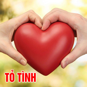 Người Đà Nẵng