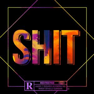 Shit(Freestyle) (Explicit)