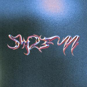 SYSTM (feat. 4L2p) (Explicit)