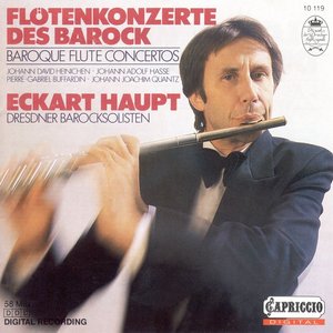Flute Concerto No. 116 in D Major QV 5:46 - I. Allegretto ma con brio