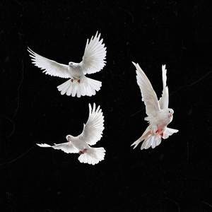 Dance on me (Explicit)