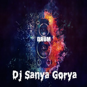 Dj Sanya Gorya - Distorted Jack