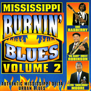 Mississippi Burnin' Blues Volume 2