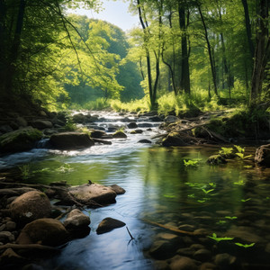 Tesoros del bosque - Ritmo Del Enfoque Calmado En El Agua