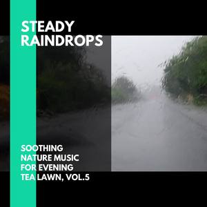 Steady Raindrops - Soothing Nature Music for Evening Tea Lawn, Vol.5