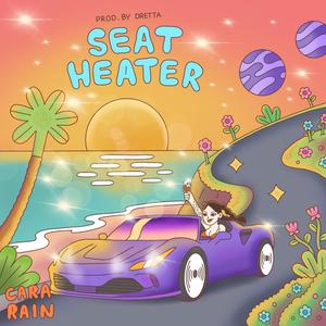 Seat Heater (Explicit)