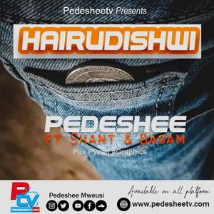 Hairudishwi (feat. Shant & Basam) [Explicit]