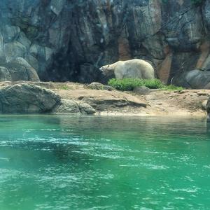 Mask Poet - Hood Rich (Explicit)