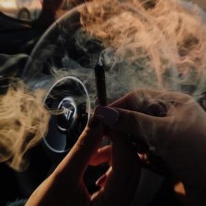 EVERYDAY HERBS (Explicit)