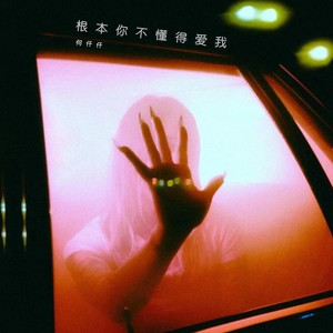根本你不懂得爱我 (DJR7版)封面