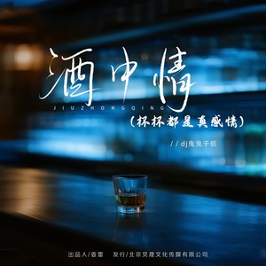 酒中情（杯杯都是真感情）