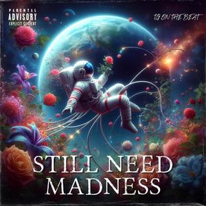 STILL NEED MADNESS