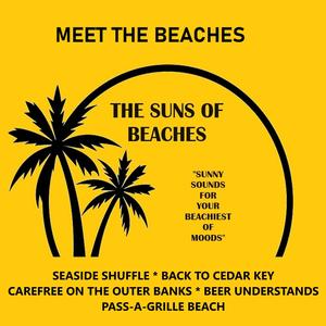 PASS-A-GRILLE BEACH (feat. THE SUNS OF BEACHES)