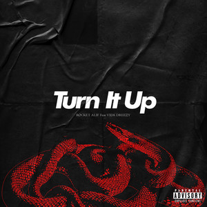 Turn It Up (Explicit)