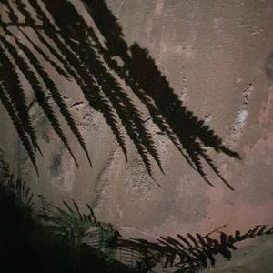 Trail Of Memories (feat. Suixidekid) (Explicit)