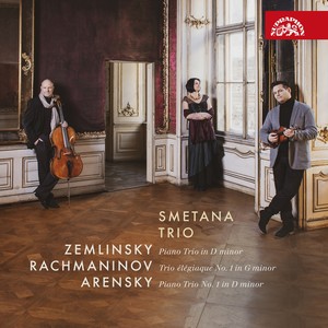 Piano Trio No. 1 in D Minor, Op. 32 - No. 2, Scherzo. Allegro molto