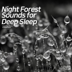 숙면을 위한 밤의 숲 (새와 빗소리) Night Forest Sounds for Deep Sleep (Fall Asleep Faster, Insomnia, Nature Sounds, Relaxation Sounds, Meditation)