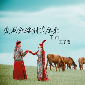 爱我就嫁到草原来