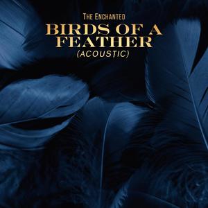 Birds of a Feather (Acoustic)