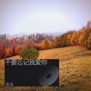 不要忘记我爱你