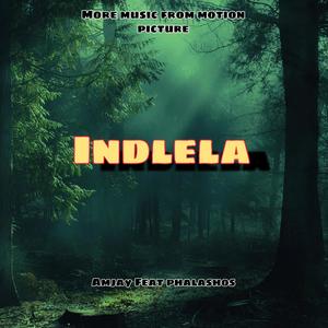Indlela (feat. T-phalashos)
