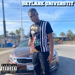 SkyLark University (Explicit)