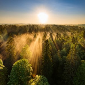 The Heart Remembers A Path Not Taken