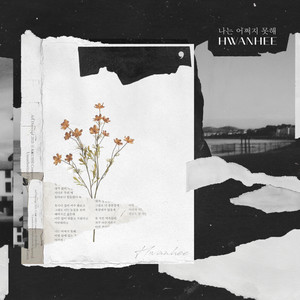 나는 어쩌지 못해