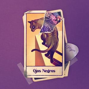 Ojos Negros